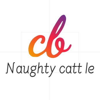 Naughty catt le品质店