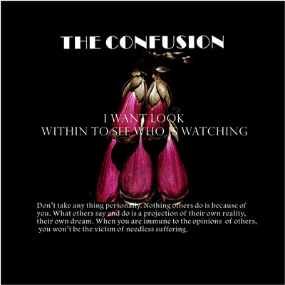 THE CONFUSION LAB线上商店