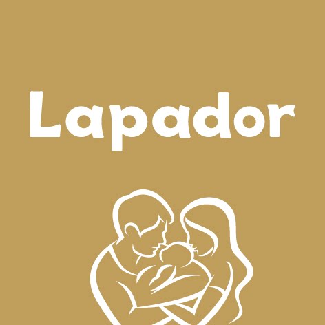 lapador啦普哆旗舰店