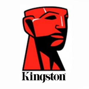 Kingston金士顿U盘跨境店