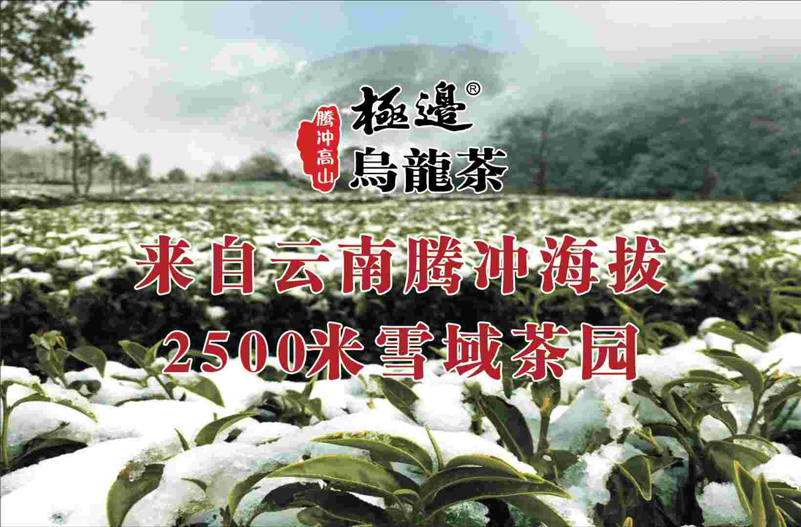 极边乌龙茶企业店