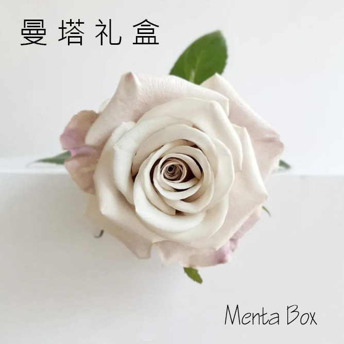 曼塔礼盒 Menta Box