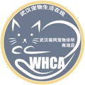 武汉猫网