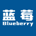 蓝莓旗舰店
